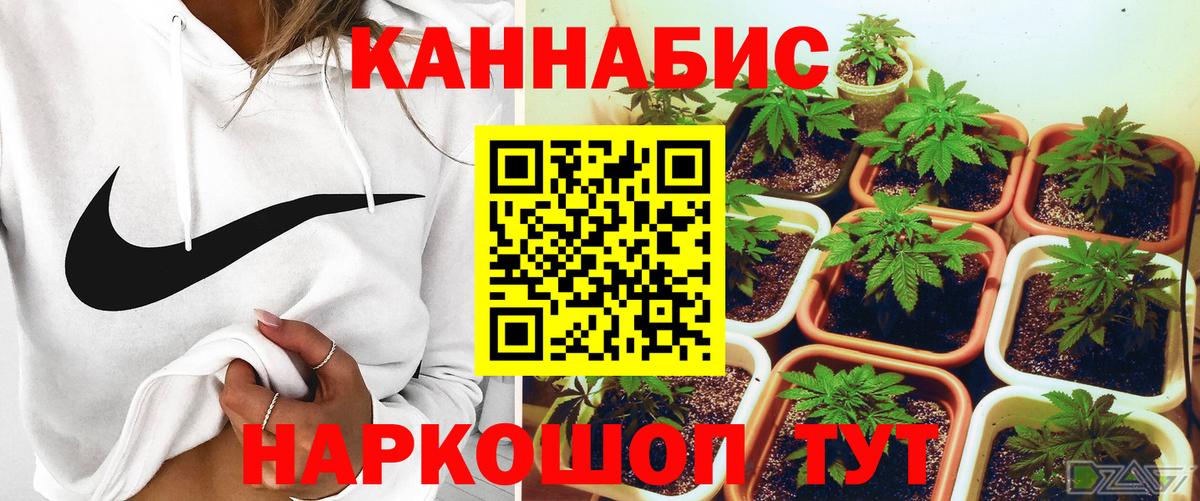 Бошки Шишки OG Kush Балтийск